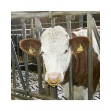 Dispozitiv de intarcat Kerbl