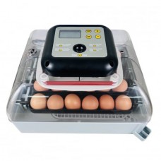 Incubator automat MS-24 oua culoare gri