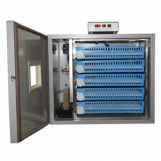 Incubator profesional MS-320