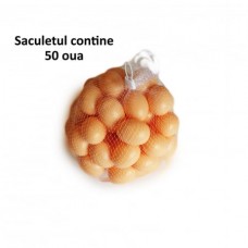 Oua din plastic pentru cuibare gaini (set 50 buc)