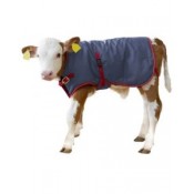 Echipamente pentru cresterea viteilor