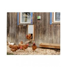 Usa automata pentru cotet pasari Kerbl